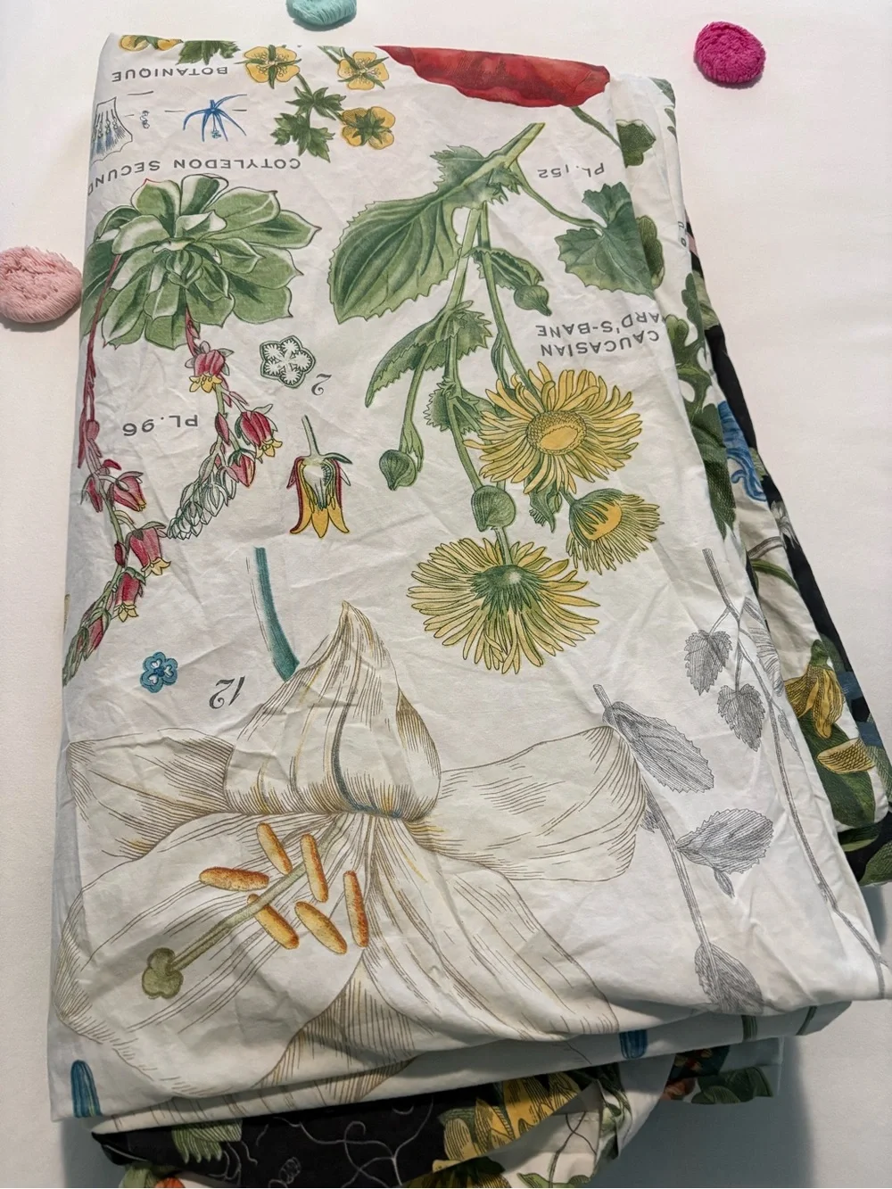 Pottery Barn King Duvet Botanical Print with 3 Euro Shams